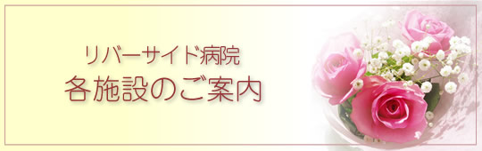 C[W摜e{݂̂ē