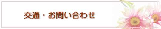 C[W摜fCPA